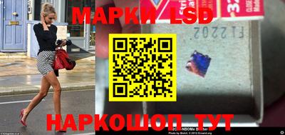 a pvp Лесной