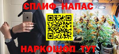 a pvp Лесной